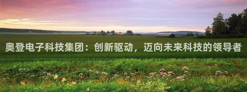 奥登电子科技集团：创新驱动，迈向未来科技的领导者
