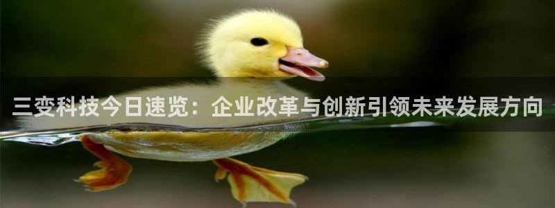 三变科技今日速览：企业改革与创新引领未来发展方向