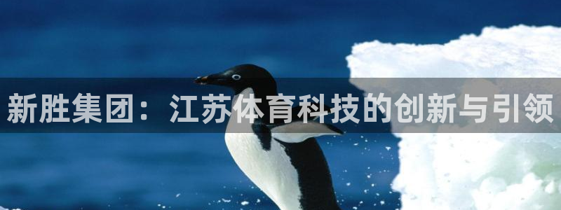 新胜集团：江苏体育科技的创新与引领