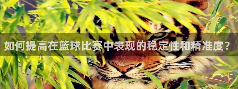如何提高在篮球比赛中表现的稳定性和精准度？