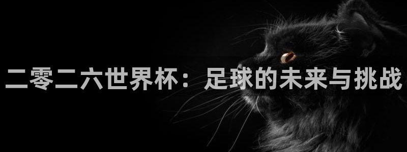 二零二六世界杯：足球的未来与挑战