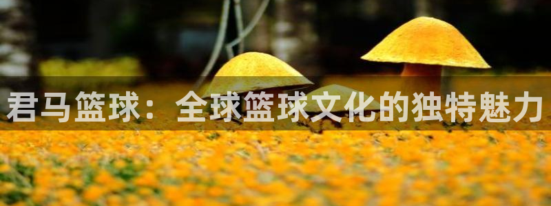 君马篮球：全球篮球文化的独特魅力