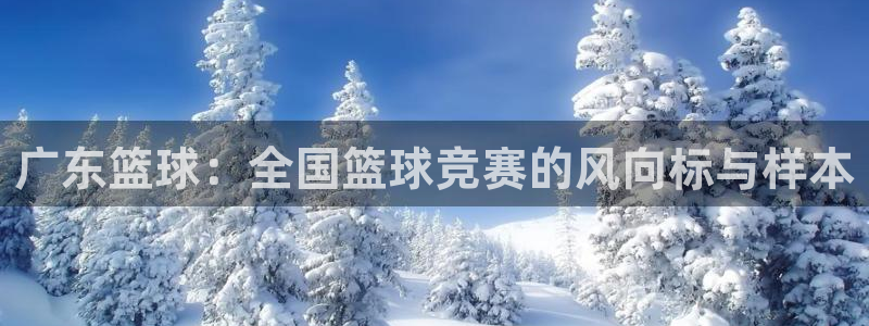 广东篮球：全国篮球竞赛的风向标与样本