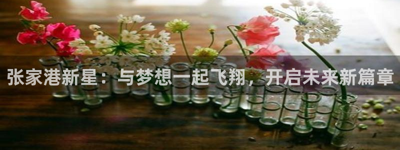 张家港新星：与梦想一起飞翔，开启未来新篇章