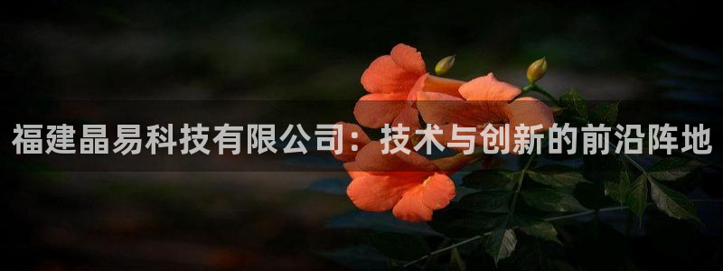 福建晶易科技有限公司：技术与创新的前沿阵地