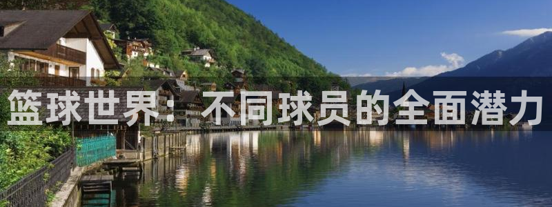 篮球世界：不同球员的全面潜力