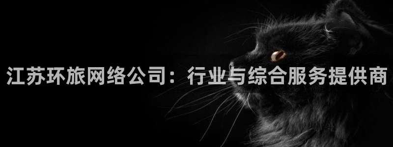 江苏环旅网络公司：行业与综合服务提供商