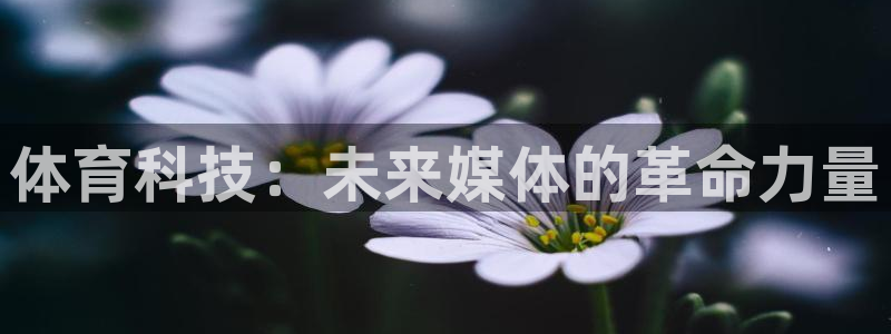 体育科技：未来媒体的革命力量