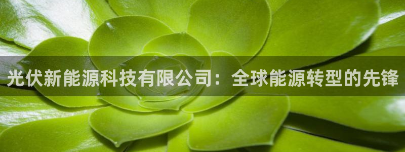 光伏新能源科技有限公司：全球能源转型的先锋