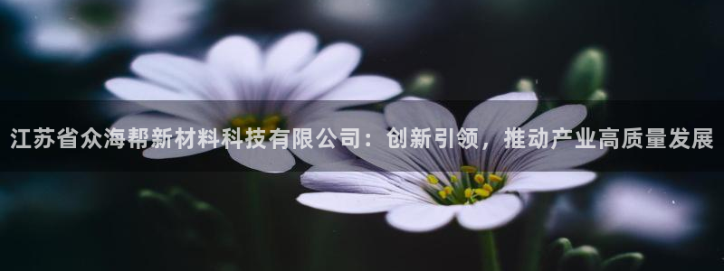 江苏省众海帮新材料科技有限公司：创新引领，推动产业高质量发展