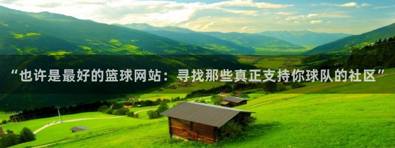 “也许是最好的篮球网站：寻找那些真正支持你球队的社区”