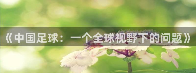 《中国足球：一个全球视野下的问题》