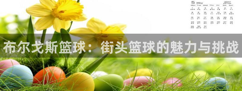 布尔戈斯篮球：街头篮球的魅力与挑战