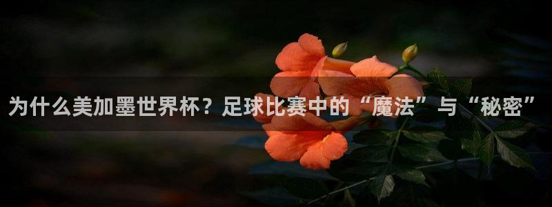为什么美加墨世界杯？足球比赛中的“魔法”与“秘密”