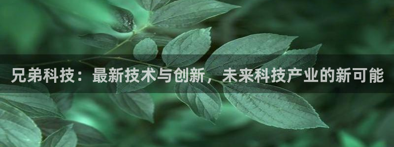 兄弟科技：最新技术与创新，未来科技产业的新可能