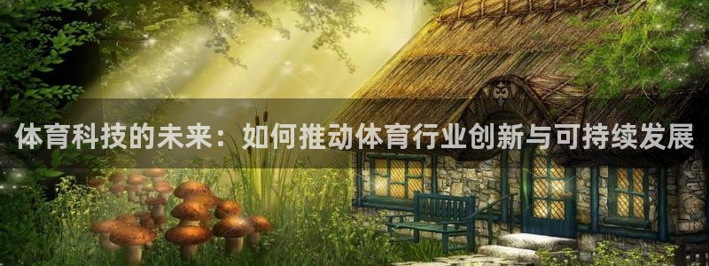 体育科技的未来：如何推动体育行业创新与可持续发展