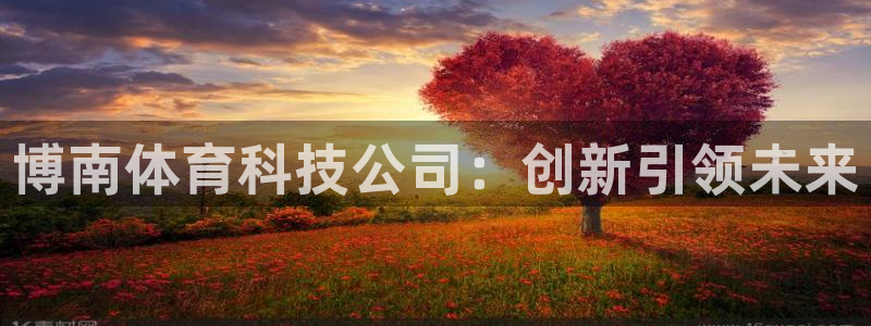 博南体育科技公司：创新引领未来
