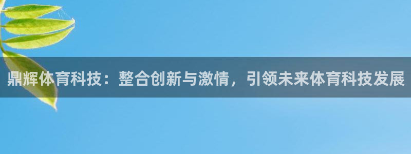 鼎辉体育科技：整合创新与激情，引领未来体育科技发展