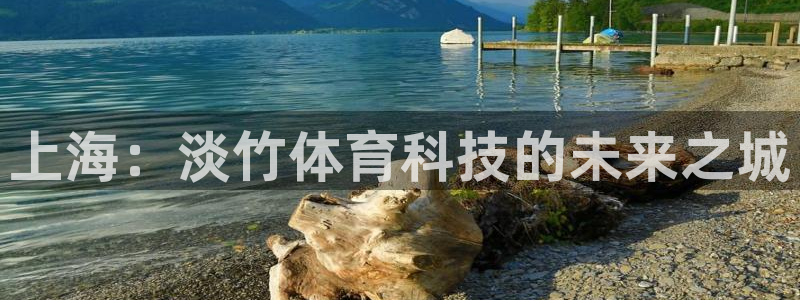 上海：淡竹体育科技的未来之城