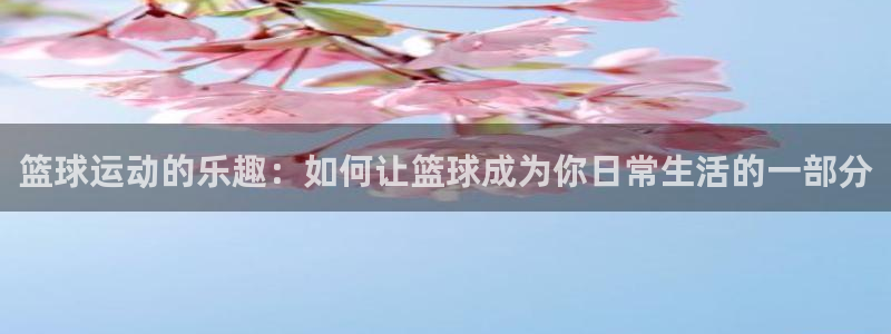篮球运动的乐趣：如何让篮球成为你日常生活的一部分