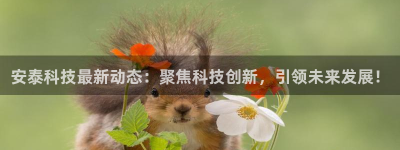 安泰科技最新动态：聚焦科技创新，引领未来发展！