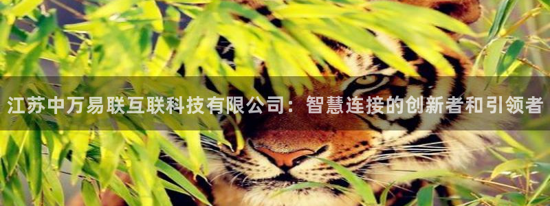 江苏中万易联互联科技有限公司：智慧连接的创新者和引领者