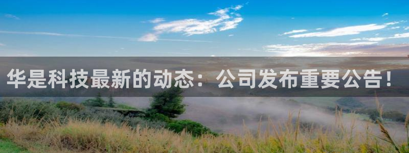 华是科技最新的动态：公司发布重要公告！