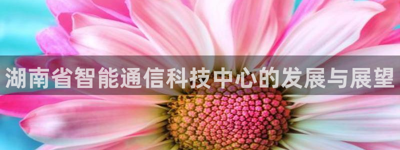 湖南省智能通信科技中心的发展与展望
