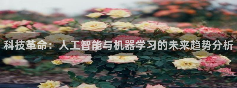 科技革命：人工智能与机器学习的未来趋势分析