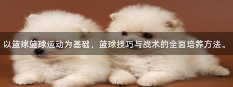 以篮球篮球运动为基础，篮球技巧与战术的全面培养方法。