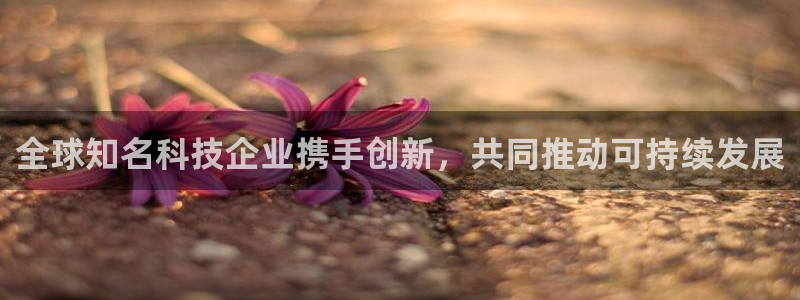 全球知名科技企业携手创新，共同推动可持续发展