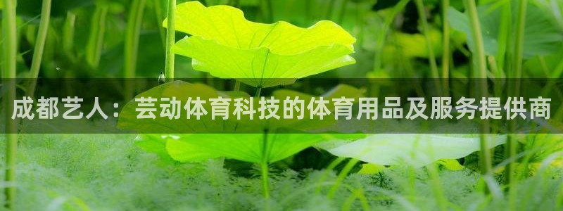 成都艺人：芸动体育科技的体育用品及服务提供商