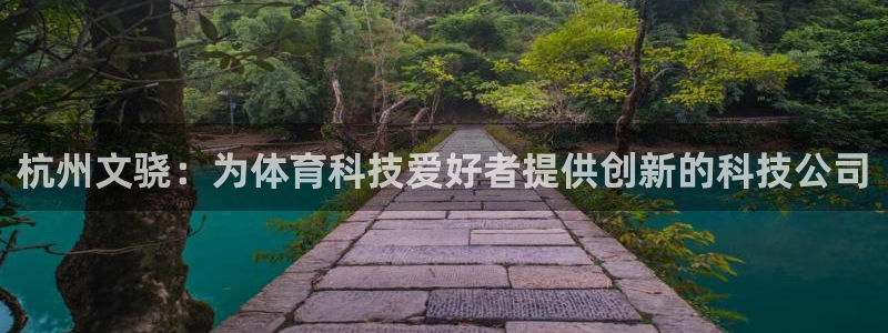 杭州文骁：为体育科技爱好者提供创新的科技公司