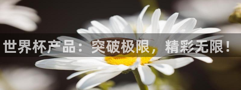 世界杯产品：突破极限，精彩无限！
