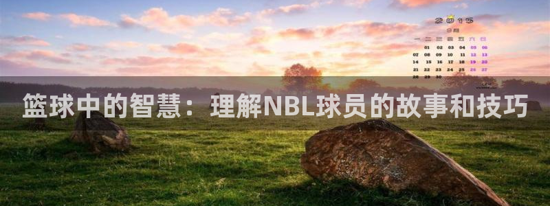 篮球中的智慧：理解NBL球员的故事和技巧