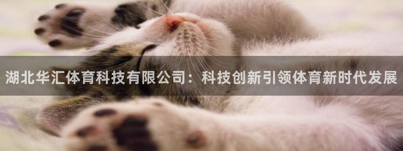 湖北华汇体育科技有限公司：科技创新引领体育新时代发展